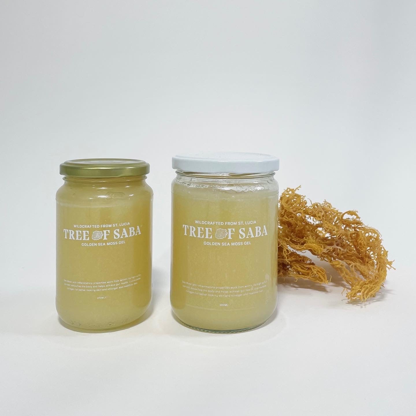 TREE OF SABA® Golden Sea Moss Gel