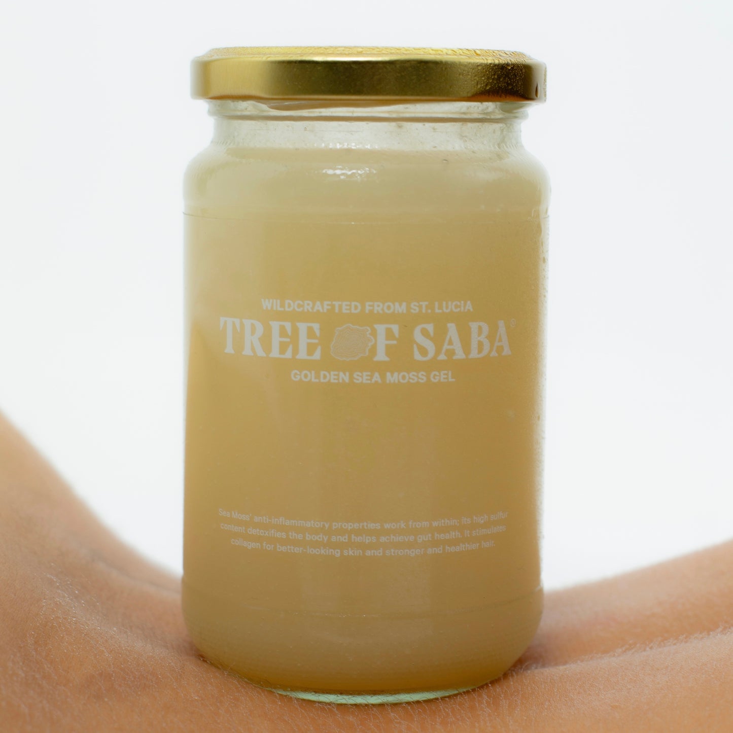 TREE OF SABA® Golden Sea Moss Gel (370 ml)